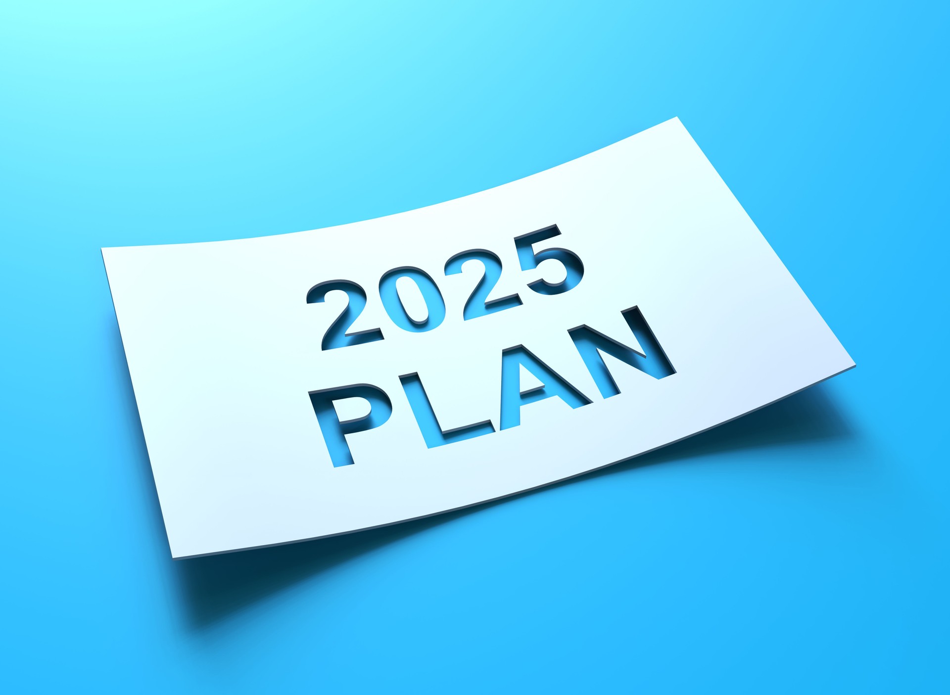 Cupons Acció 2025 plan Cupons Acció 2025 plan